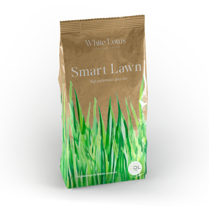 Smart Lawn Grass Seed - High-Yield, Resilient  Versatile (10g)