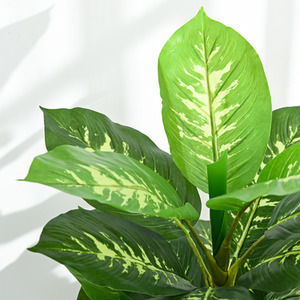  shot 7938530