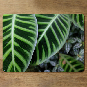 Yellow structure in exotic jungle setting Designer Placemat Set