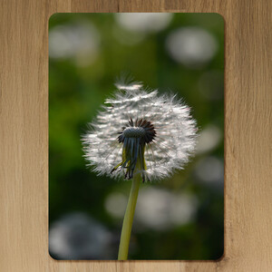 fluffy flower Designer Placemat Set
