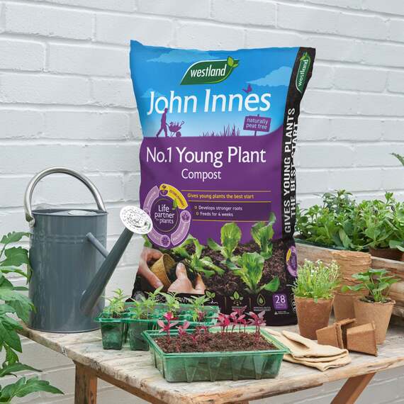 John Innes Peat-Free No.1 Young Plant Compost