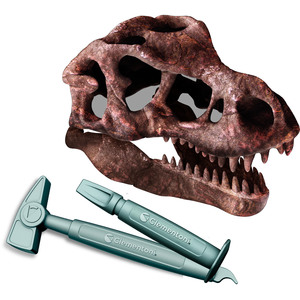 Giant T Rex Skull Dig Kit Dinosaur Excavation Set