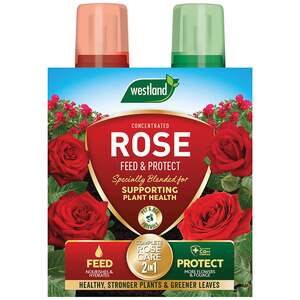 Westland Rose Feed & Protect 500ml Duo Pack