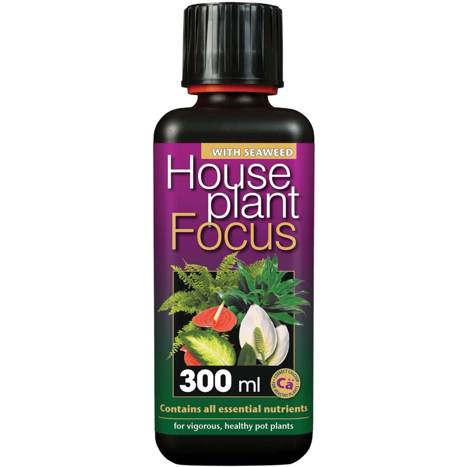 Growth Technology Houseplant Focus Liquid Plant Feed Fertiliser - Neutral