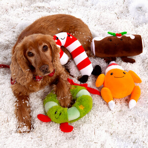 Super Squashy Friends Dog Toy