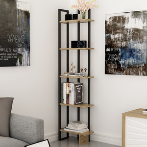 Alice Bookshelf