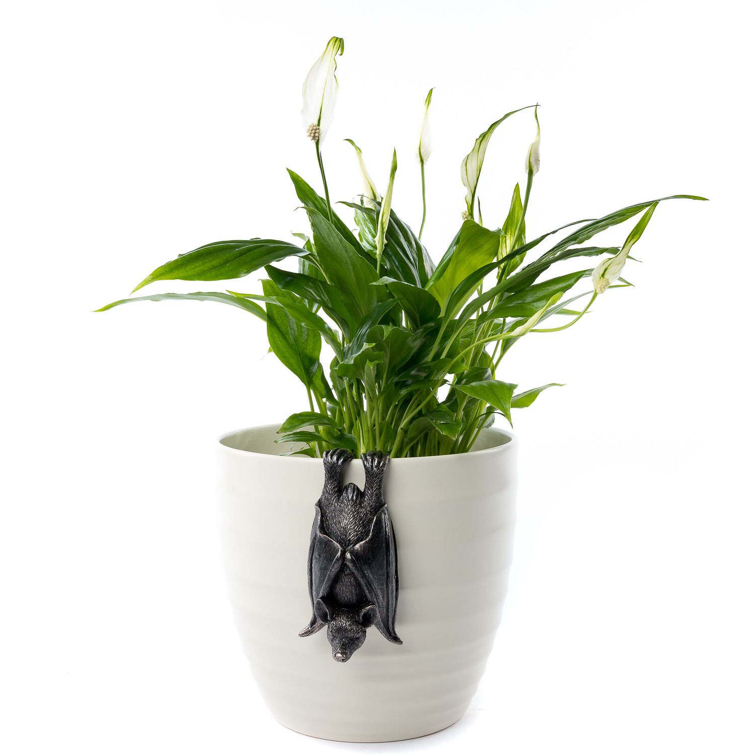 Bat Plant Pot Hanger