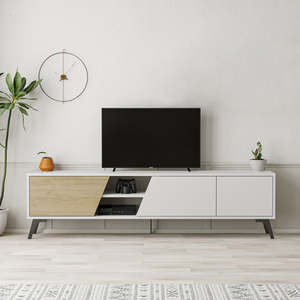 Fiona Modern TV Stand With Storage