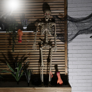 5ft Posable Full Body Halloween Skeleton Decoration