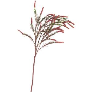 Amaranthus Spray