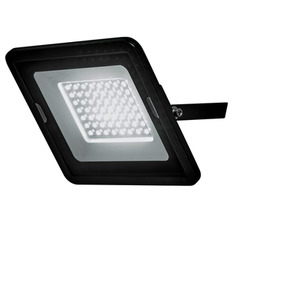 Fergus Outdoor LED 30 Watt Flood Light