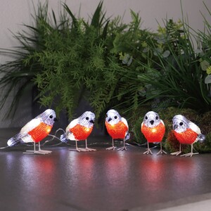 Solar Robin String Light