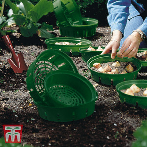 Flower Bulb Basket for Easy Planting