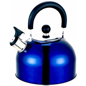 2 Litre Stainless Steel Whistling Kettle (Blue)