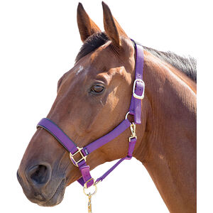 Shires Topaz Nylon Horse Headcollar