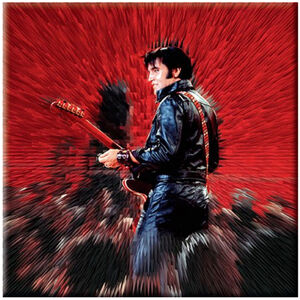 Elvis Presley Shine Fridge Magnet