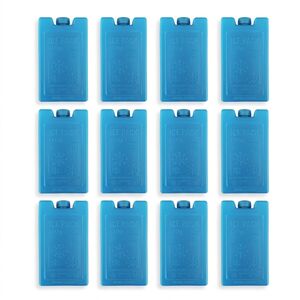 12 Mini Ice Blocks Small Reusable Freezer Blocks 110ml Picnic Cooler