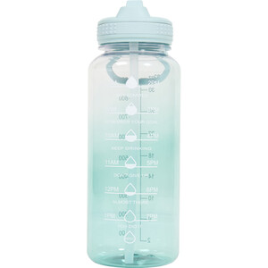 Two-Tone Sport Bottle with Handle