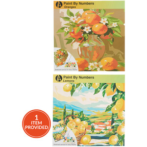 Paint by Numbers Lemons or Oranges Canvas Kit