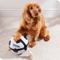 Dog Toys