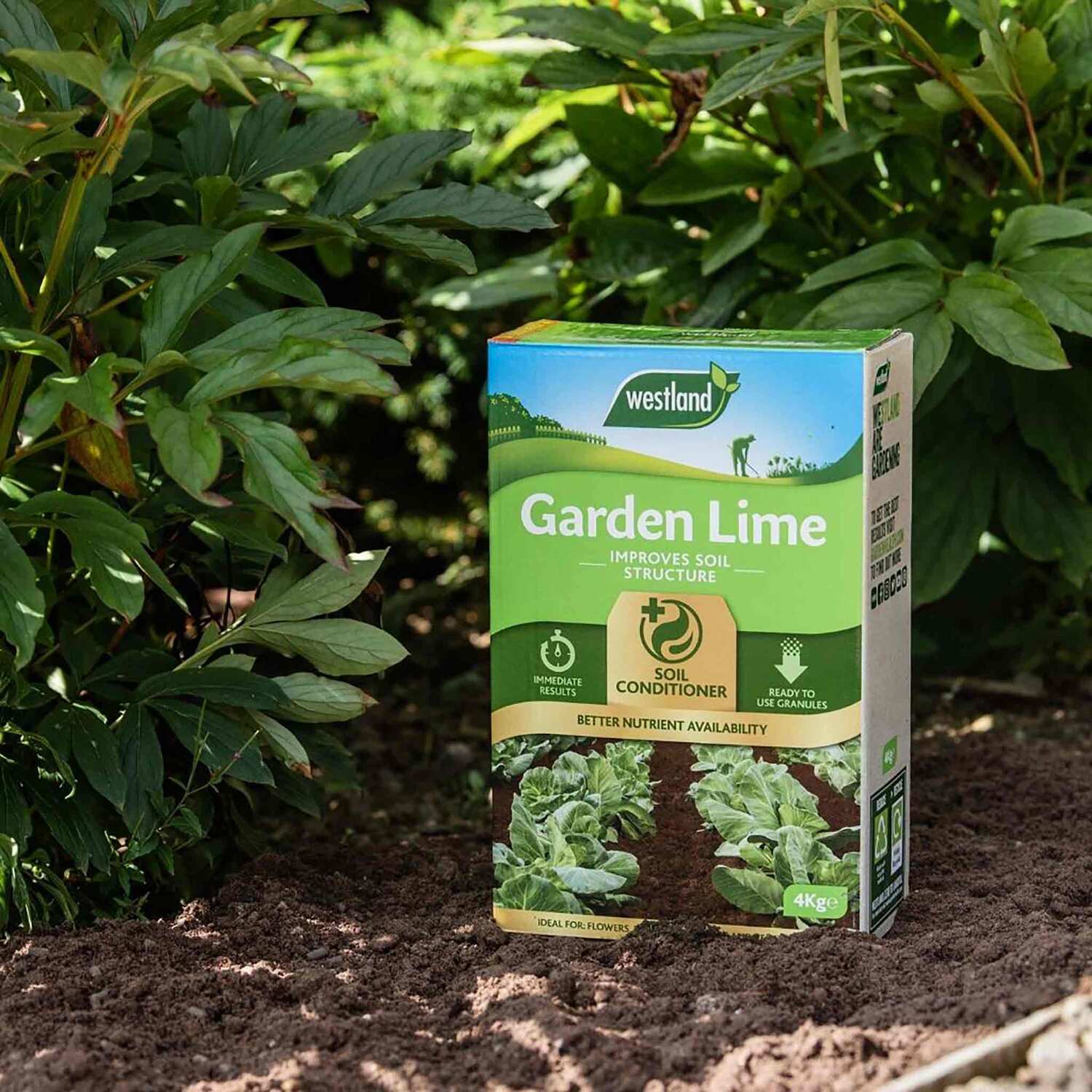 Westland Garden Lime Soil pH Maintenance 4kg - Image 6