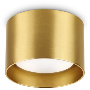 Spike Round Surface Mounted Downlight Brass