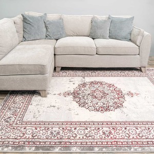 Silver Grey Red Distressed Traditional Medallion Bordered Area Rug