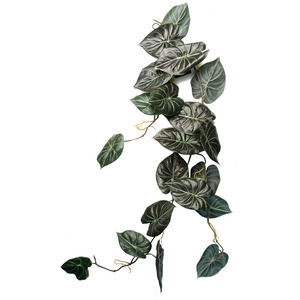 Artificial Hanging Trailing Plant Alocasia Dragon Dark