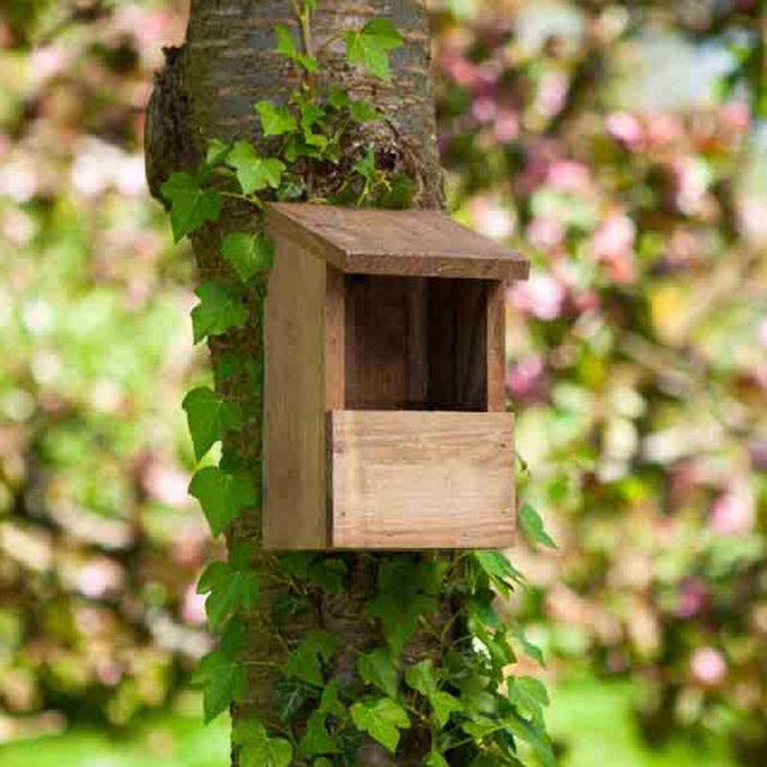 Image of Wooden Robin Nest Box - Brown