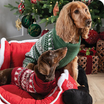Christmas Pet Clothing