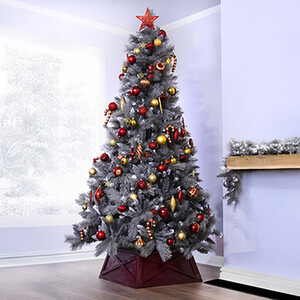 The Majestic Pine Tree