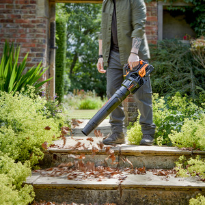 Orange LawnMaster MX 24V Axial Leaf Blower with Battery shot 10826986