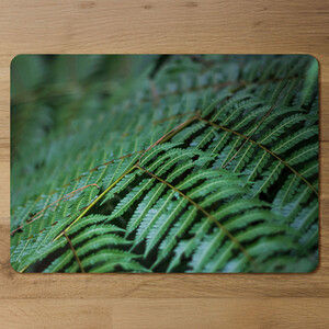 Green leaves pattern and texture at Indonesia Designer Placemat Set