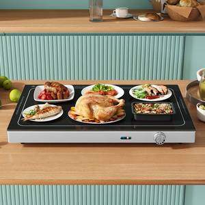 Electric Food Warmer