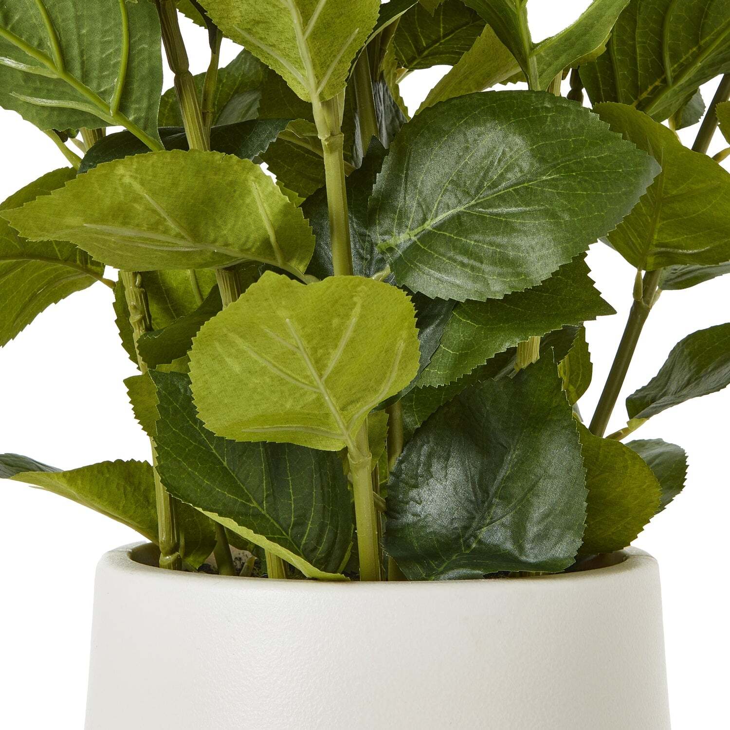 Wyld Haus Artificial Medium White Hydrangea in White Ceramic Pot - White
