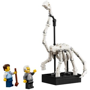  shot 14317709