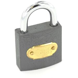 Securit Tricircle Iron Cylinder Padlock