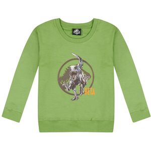 Kids' Jurassic World 100% Cotton Sweatshirt Size 2-3 Years Green