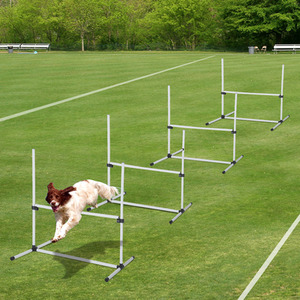 PawHut 4 Pieces Dog Agility Training Equipment with Carrying Bag
