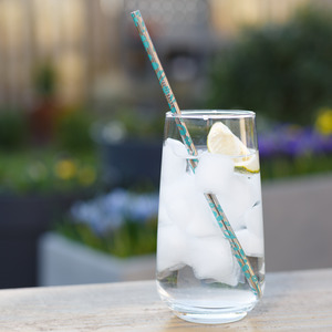Metal Straws Floral