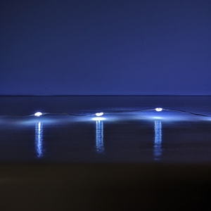  shot 2518129