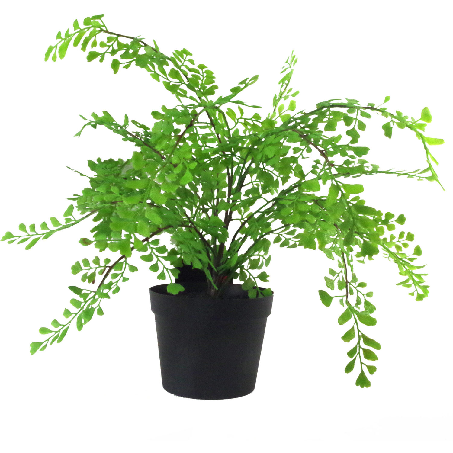 Artificial Potted Fern Plant (Southern Maidenhair Fern) - Green