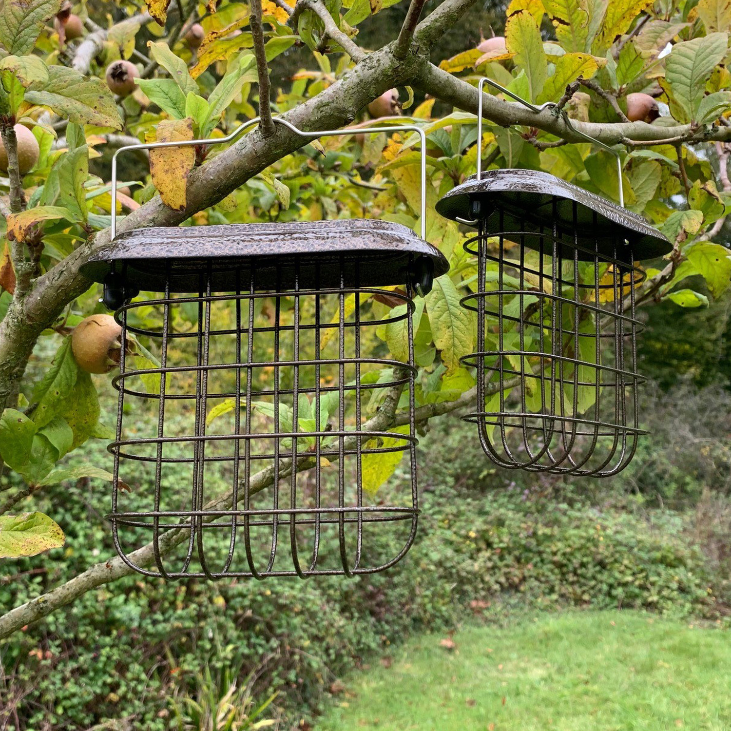 Image of Hanging Suet Block Bird Feeder for&hellip;