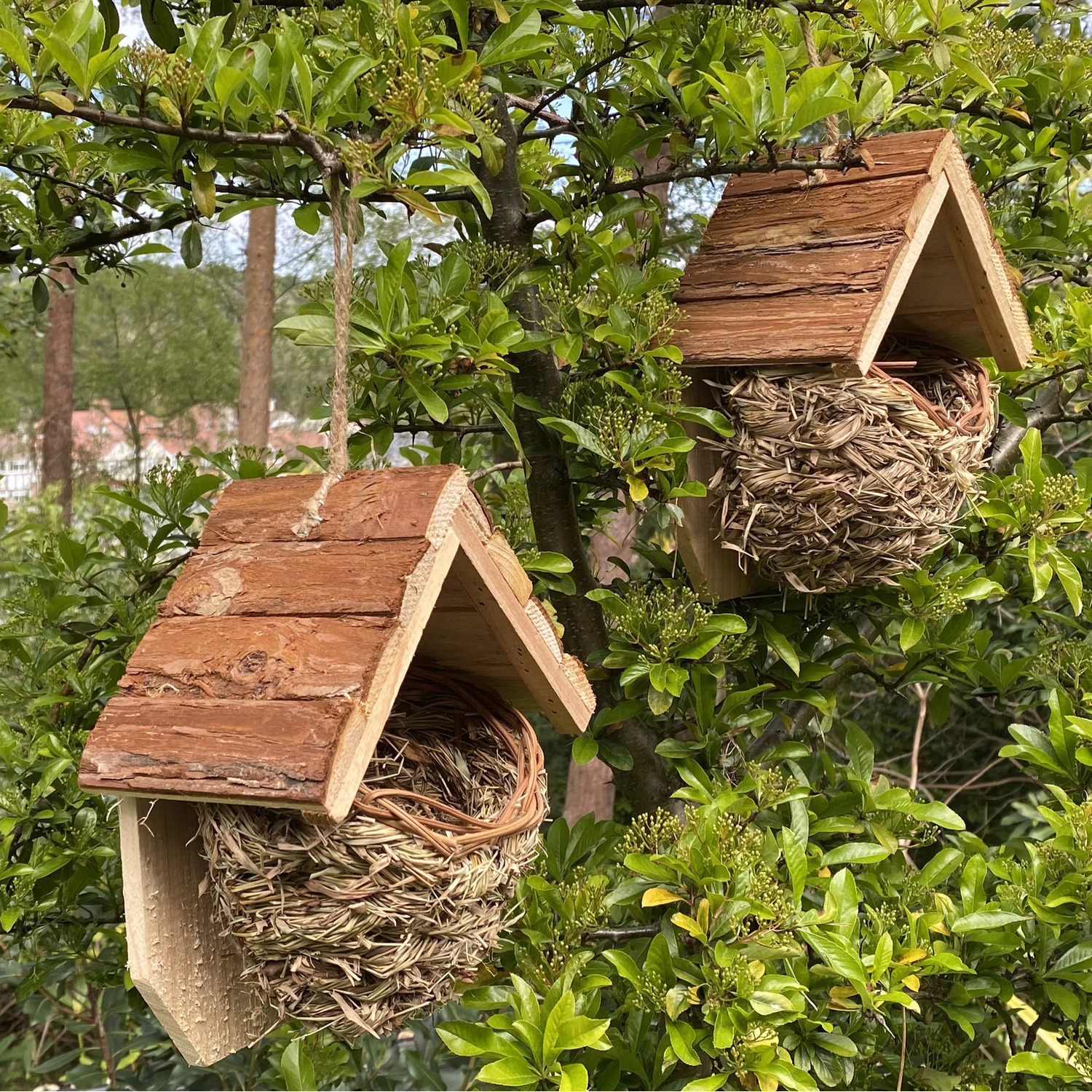 Image of Woven House Martin Bird Nester with&hellip;