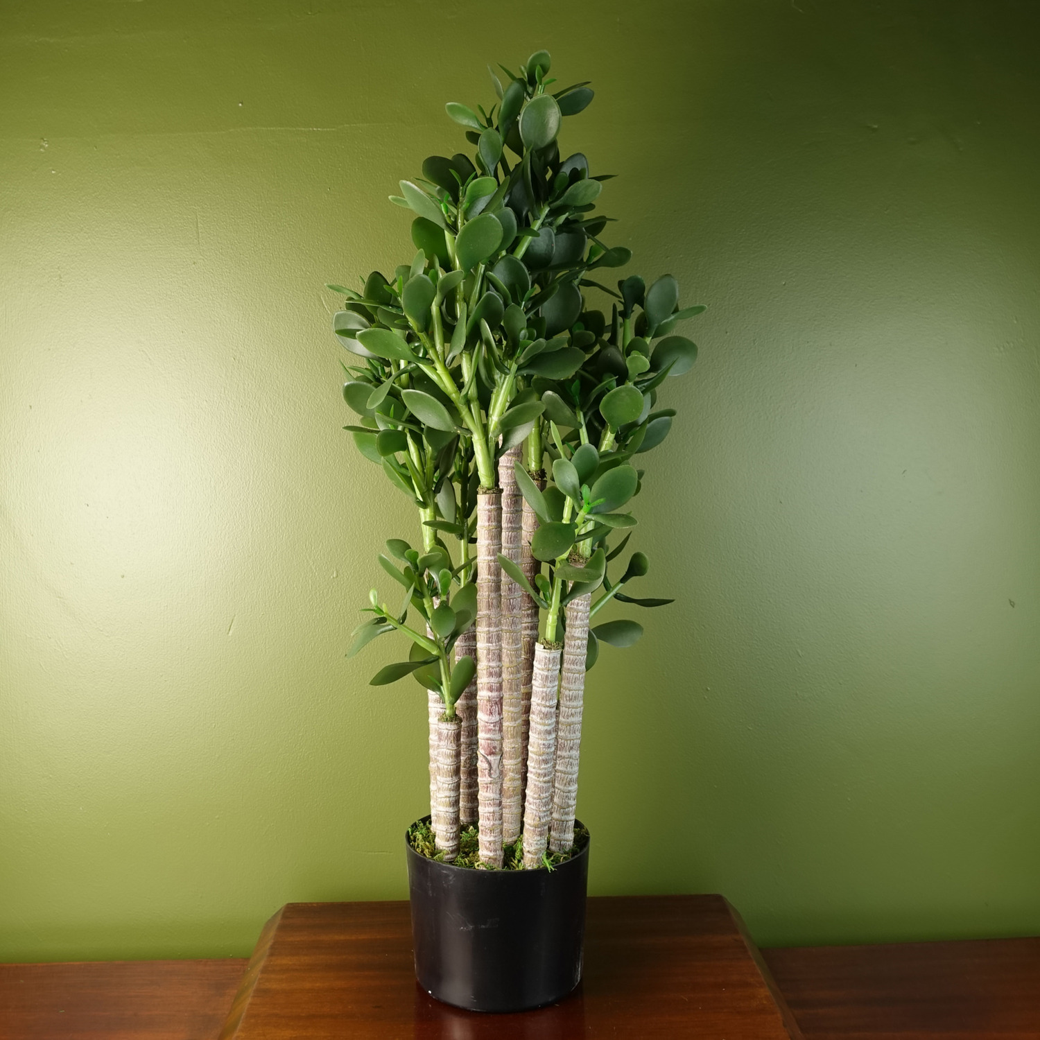 Leaf Artificial Deluxe Green Jade Plant - Green