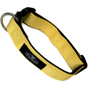 Medium Dog Collar