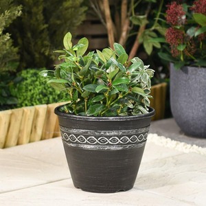 Classic Roman-Greco Design Planter Patio Flower Pot