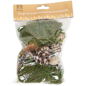 Moss and Snowy Pinecone Bundle Large