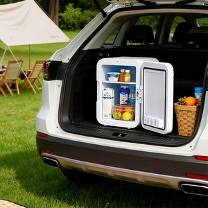 5L Portable Mini Fridge Cooler and Warmer with Mirror