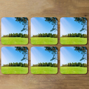 Grass field Designer Coaster Set